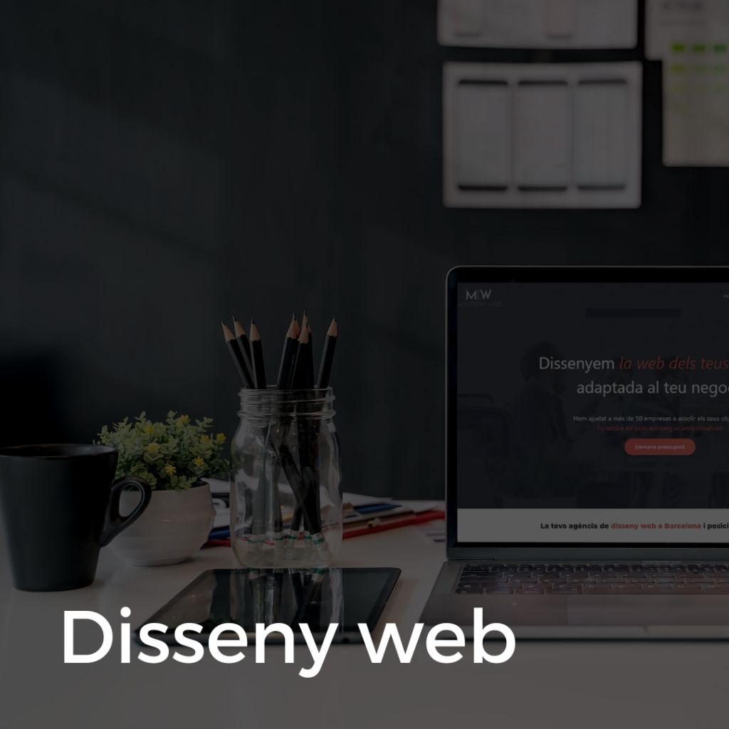 Disseny web (4)