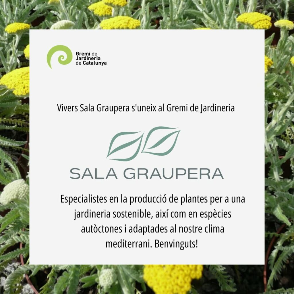 Publicació a xarxes socials de Gremi de Jardineria de Catalunya gestionada per MontsenyWebs