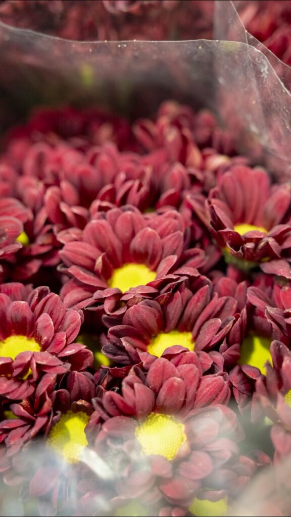 Publicació a xarxes socials de Mercat Flor gestionada per MontsenyWebs
