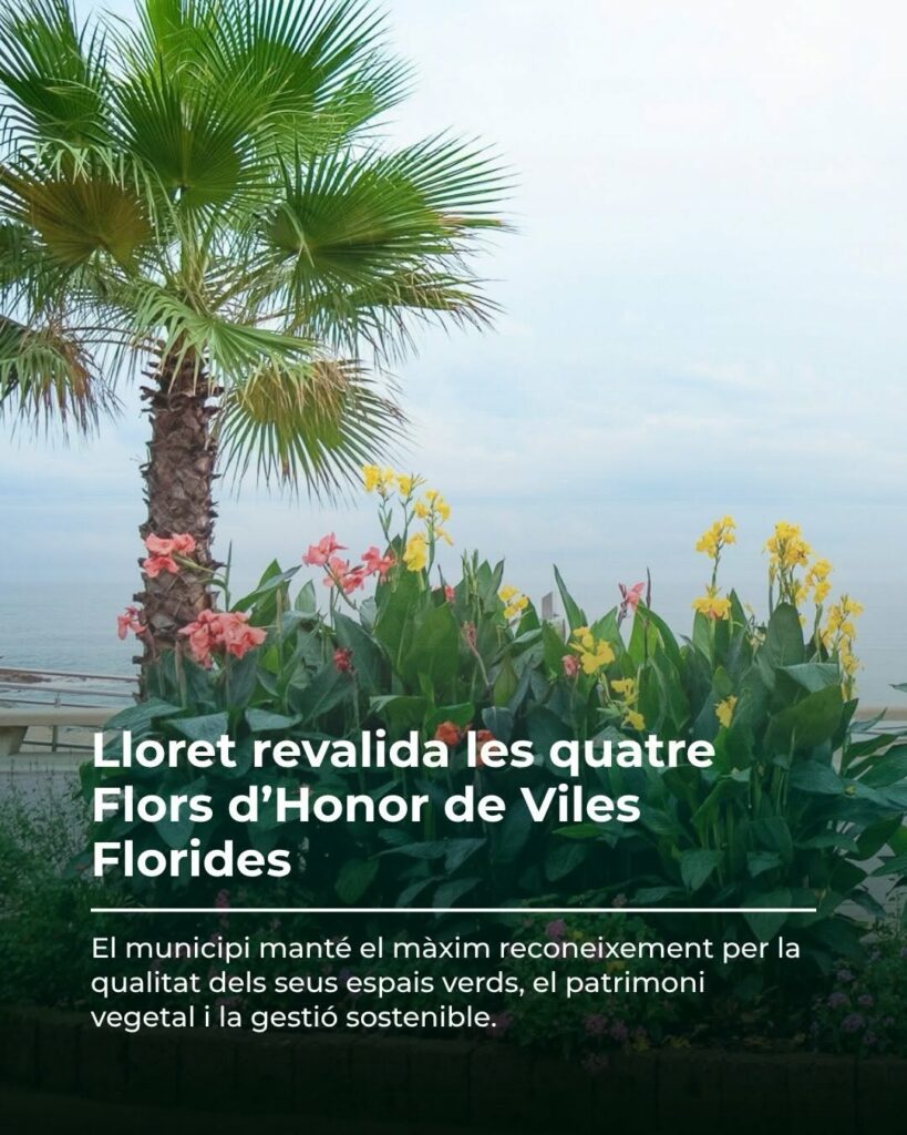 Publicació a xarxes socials de Viles Florides gestionada per MontsenyWebs